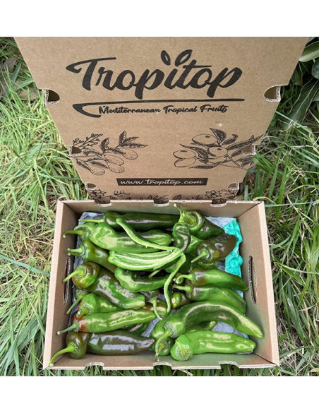 Acheter des poivrons italiens rouges en ligne sur Tropitop