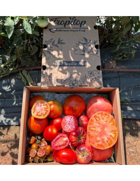 Comprar Pack Tomates variados de Temporada Online | Tomates Premium | Tropitop