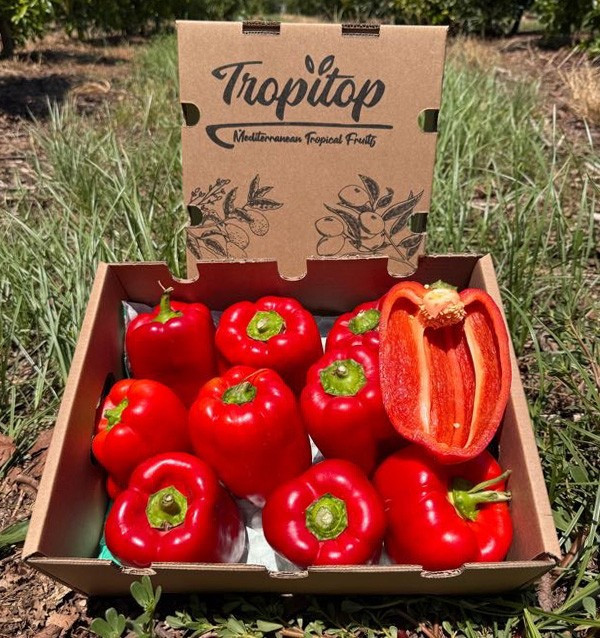 Compra Peperoni Rossi Morrón Online | Peperoni da Arrostire | Tropitop
