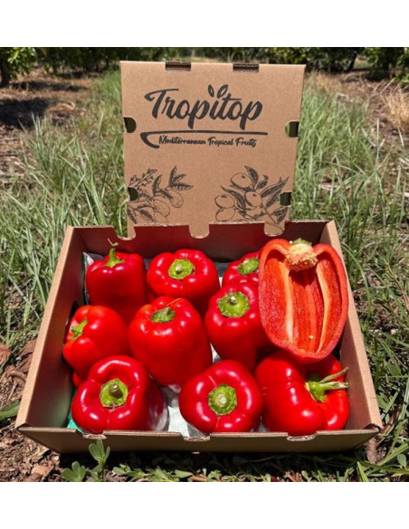 Comprar Pimentos Vermelhos Morrón Online | Pimentos para Assar | Tropitop