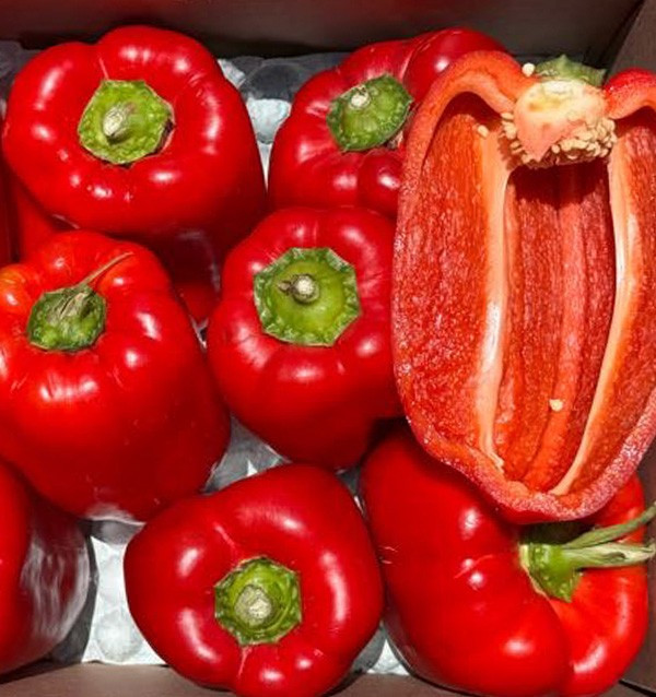 Acheter Poivrons Rouges Morrón en Ligne | Poivrons à Rôtir | Tropitop