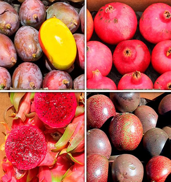 Acheter une boîte de fruits de saison en ligne chez Tropitop