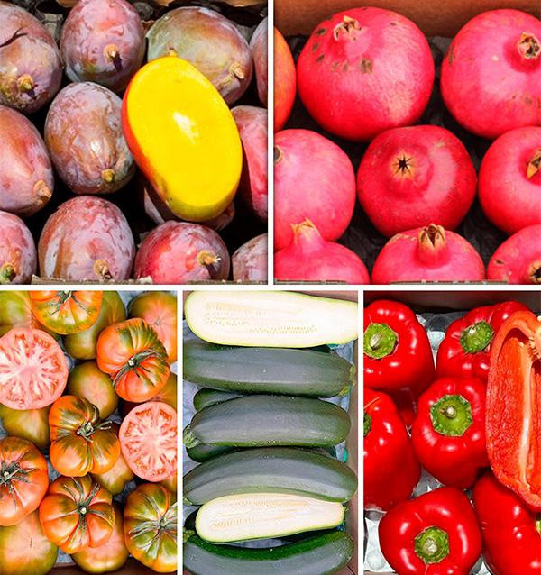 Comprar Caixa de Frutas e Legumes da Estação Online na Tropitop