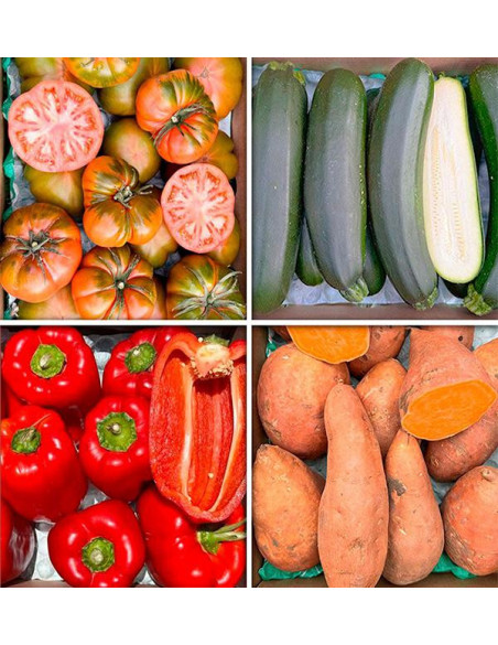 Comprar Caja de Verduras de Temporada Online en Tropitop