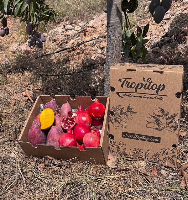 Comprare melagrana e mango online su Tropitop