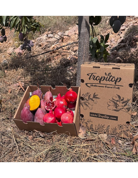 Comprare melagrana e mango online su Tropitop
