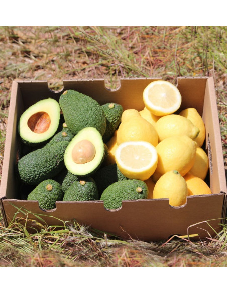 Lemons and Avocados online at the best price