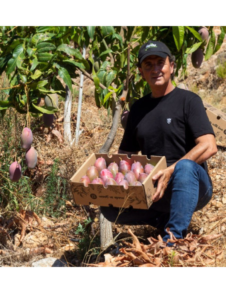 Agricultor con caja de Mango