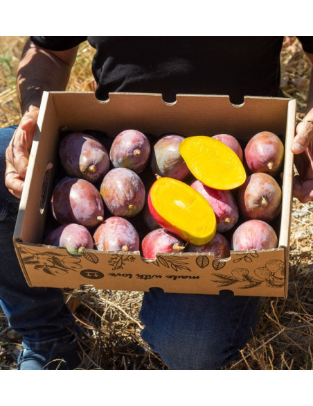 Buy mangoes online | The best selection of Fresh Mangos