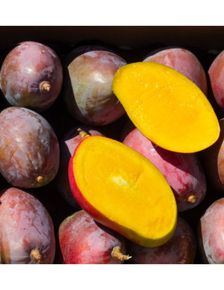 Buy mangoes online | The best selection of Fresh Mangos