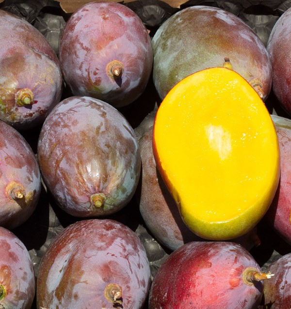 Mangos Online Kaufen | Die Beste Auswahl an Frischen Mangos