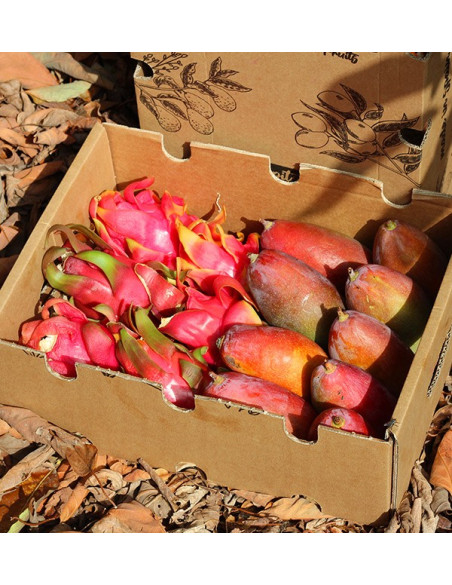 Acheter Pitaya et mangue au meilleur prix