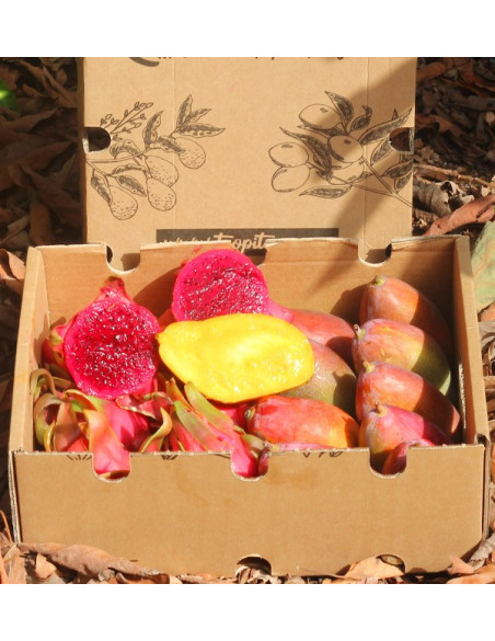 Acheter Pitaya et mangue au meilleur prix
