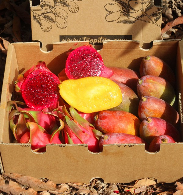 Drachenfrucht und Mango