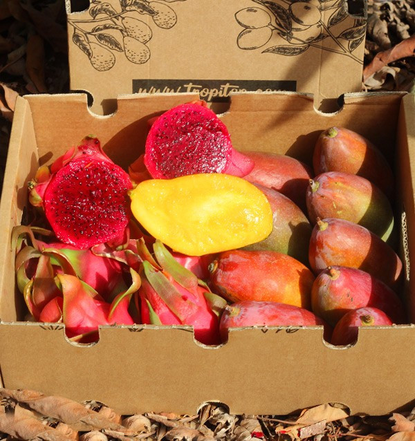 Acheter Pitaya et mangue au meilleur prix