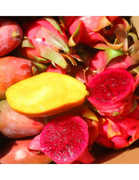 Comprar Pitahayas y Mangos