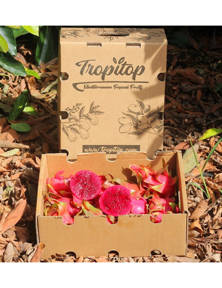 Comprar Pitahayas Online | Fruta del dragón fresca y llena de sabor