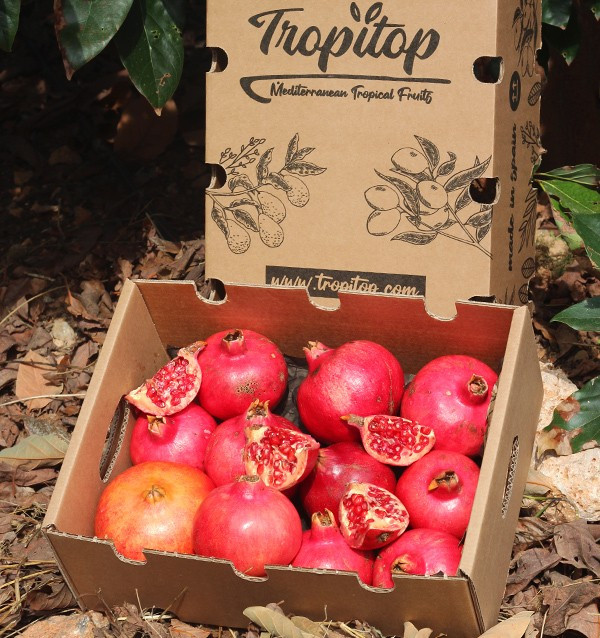 Buy pomegranates online at Tropitop