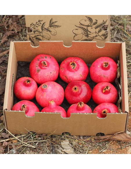 Buy pomegranates online at Tropitop
