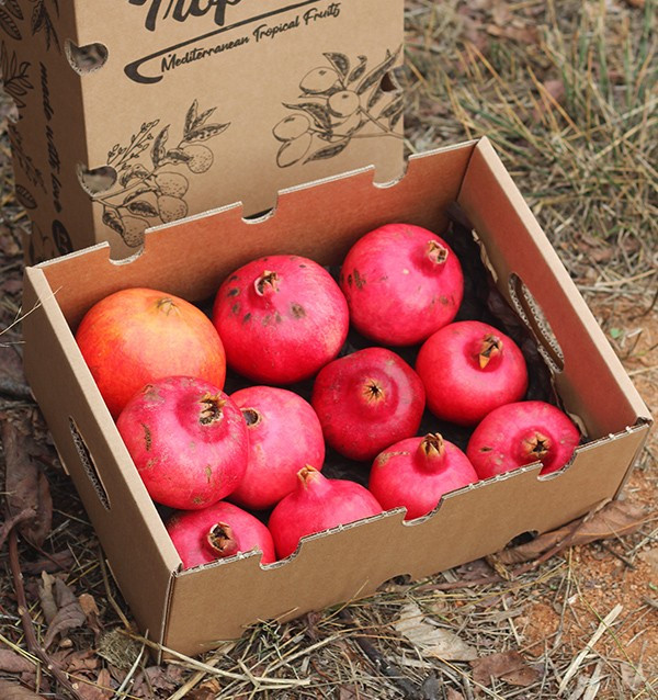 Buy pomegranates online at Tropitop