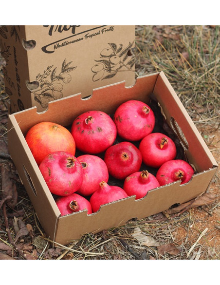 Buy pomegranates online at Tropitop