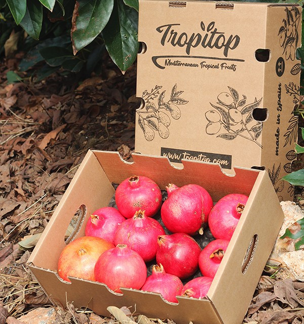 Comprar granadas online en Tropitop