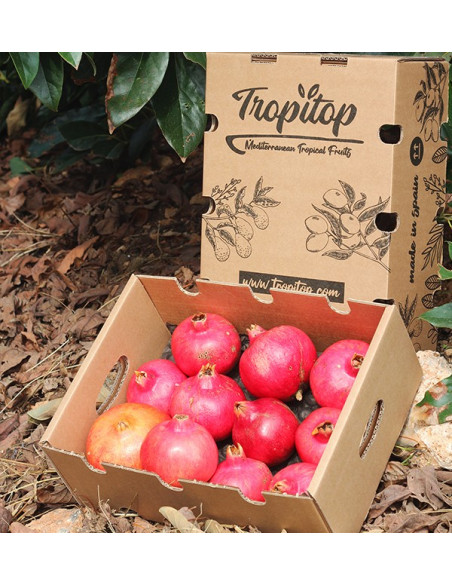 Comprar granadas online en Tropitop