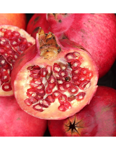 Buy pomegranates online at Tropitop