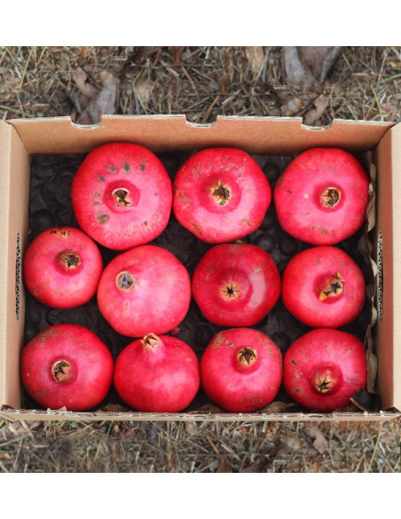 Buy pomegranates online at Tropitop