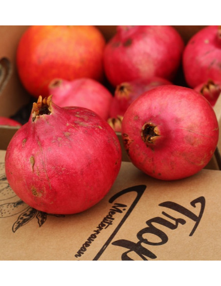 Buy pomegranates online at Tropitop