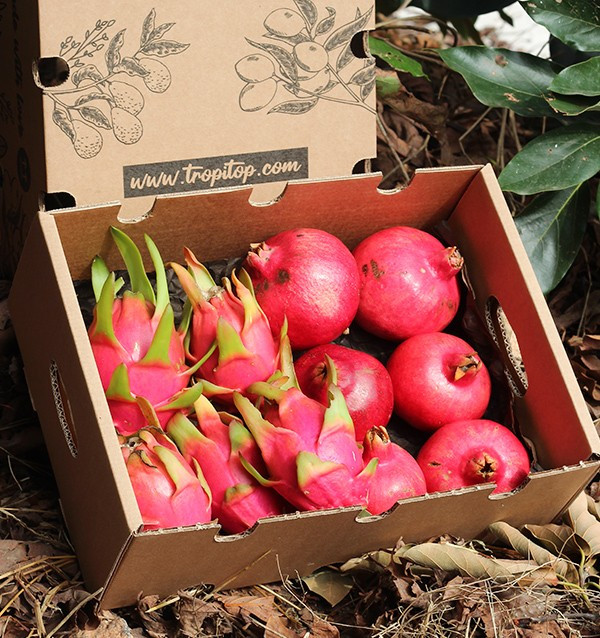 Comprare melagrane e pitaya online su Tropitop