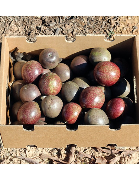 Buy Passion Fruit Online