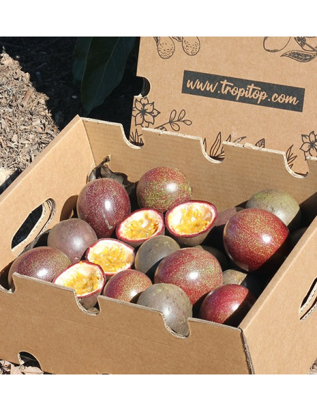 Comprar Fruta da Paixão (Maracujá) online