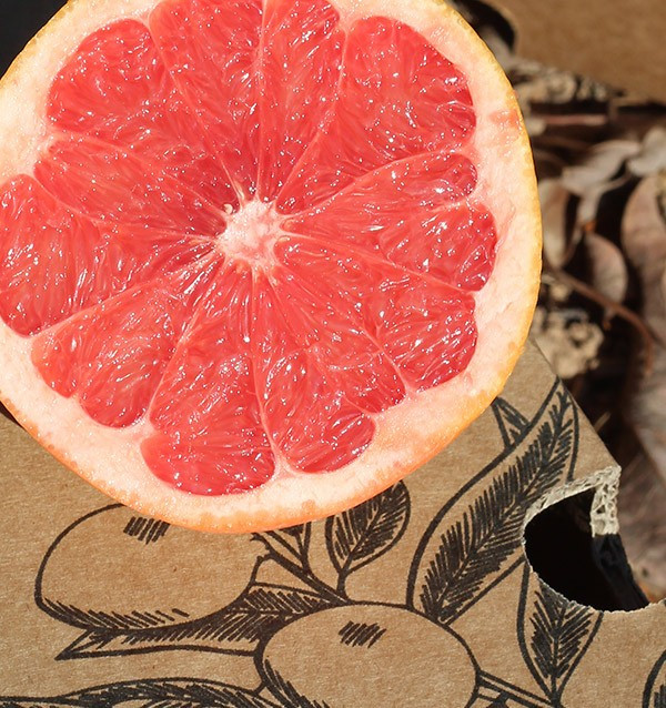 Compre toranja online