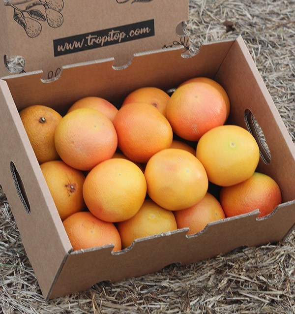 Acheter des pamplemousses online