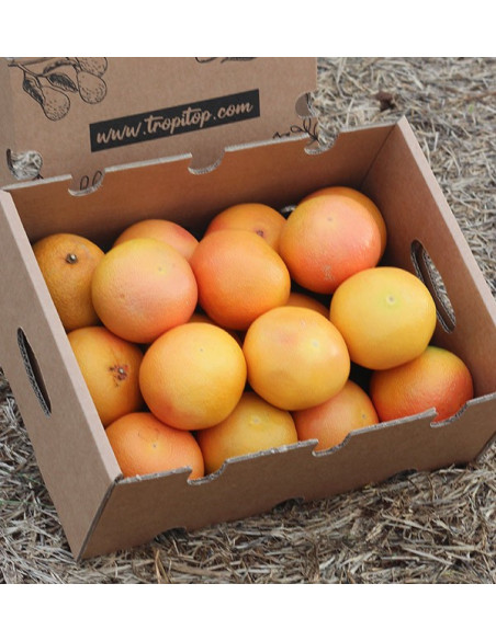 Kaufen Sie Grapefruits online vom Feld zu Ihnen nach Hause