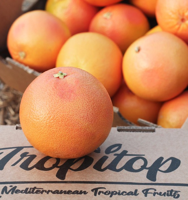 Kaufen Sie Grapefruits online vom Feld zu Ihnen nach Hause