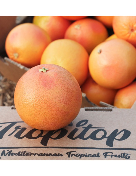 Kaufen Sie Grapefruits online vom Feld zu Ihnen nach Hause