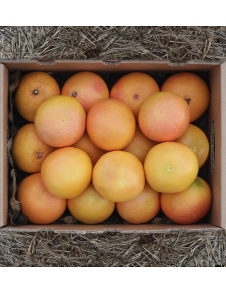 Compre toranja online