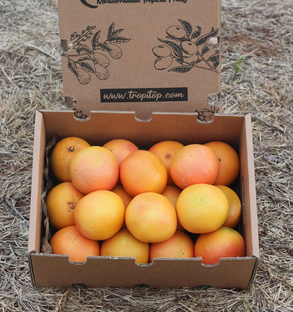 Compre toranja online