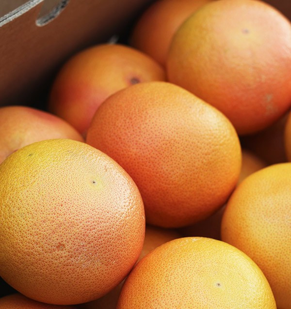 Buy Grapefruits online