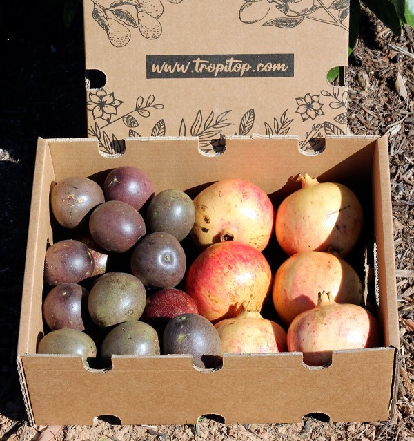 Buy passion fruit and pomegranates online at Tropitop