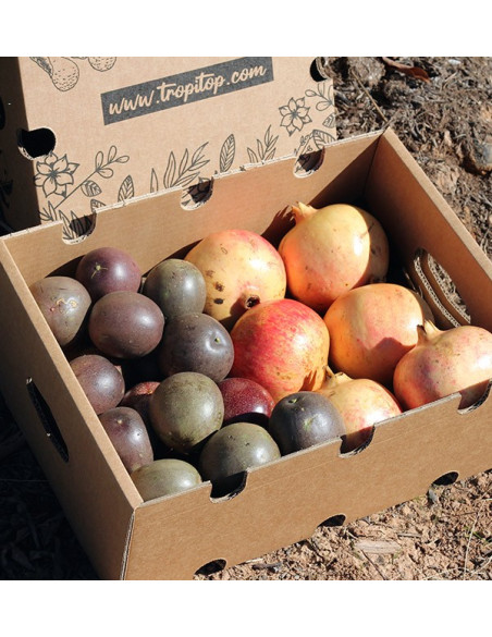 Comprare frutta della passione e melograni online su Tropitop