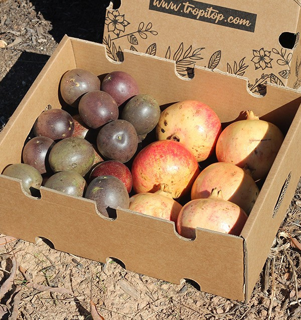 Comprar fruta de la pasión y granadas online en Tropitop