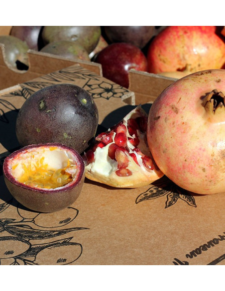 Acheter fruits de la passion et grenades en ligne sur Tropitop