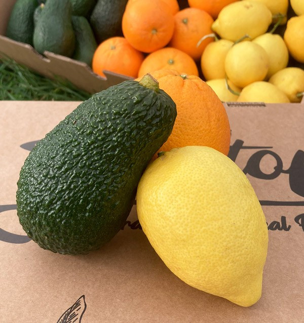 Pequeno almoço com abacates: abacates, laranjas e limões