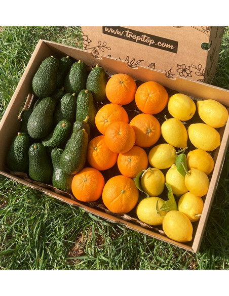 Petit-déjeuner avec des avocats: Avocats, oranges et citrons