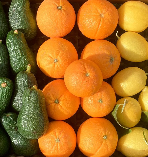 Petit-déjeuner avec des avocats: Avocats, oranges et citrons