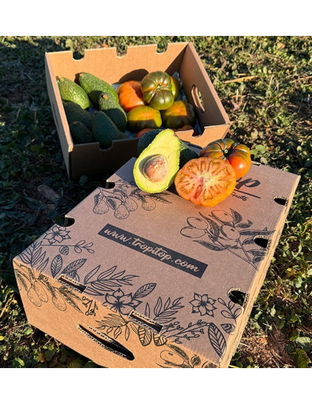 Acquista Avocado Hass e Pomodoro Raf online su Tropitop