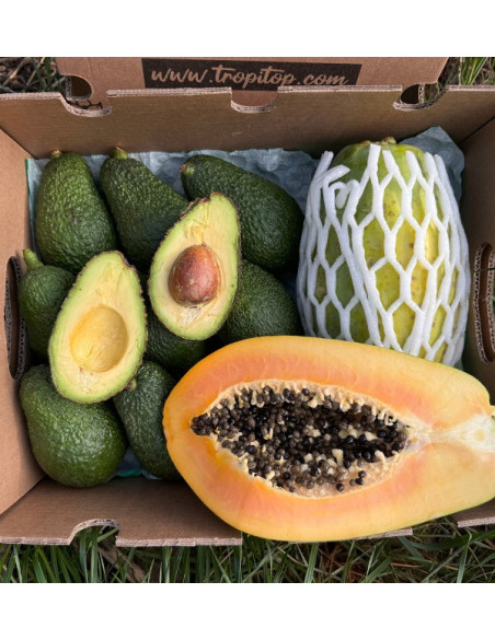 Acheter Avocat Hass et Papayes | Saveur Crémeuse et Exotique chez Tropitop